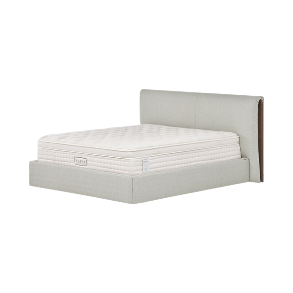 비렉스 그레이스 프레임 킹(K)