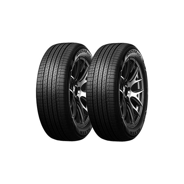로디안 GTX 225/60R18 2개