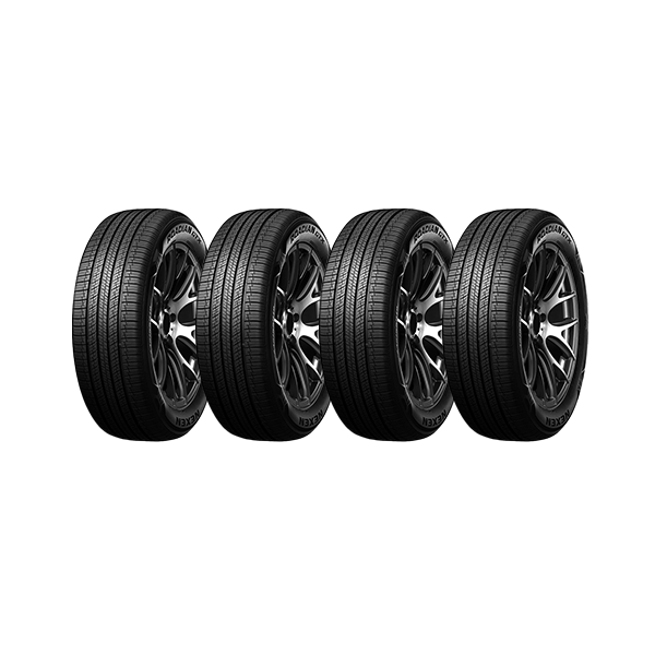 로디안 GTX 255/45R20 4개